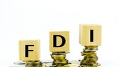 致力引進新一代FDI資金。(示意圖源:互聯網)