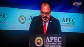 巴新總理奧尼爾在會議上呼籲APEC成員經濟體通過推動自由貿易、擁抱數字化等方式致力推動包容性增長。(圖源:APEC)