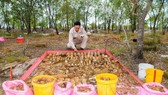 Lực lượng chức năng kiểm tra vật liệu chưa nổ rà được tại hầm.