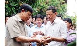 Bộ trưởng Nguyễn Xuân Cường vừa trực tiếp xuống thị sát, nếm thử và đề nghị các địa phương xúc tiến hỗ trợ bà con tiêu thụ với giá tốt