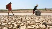 Vietnam needs tools to calculate damage relating to climate change impacts to improve natural disaster response and mitigation work, deputy minister of Agriculture and Rural Development Hoang Van Thang said yesterday. (Photo: donre.hochiminhcity.gov.vn)