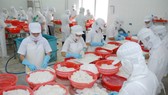 A shrimp processing plant in the Mekong Delta of Vietnam (Photo: SGGP)