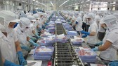 By product: Anh’s research opens the door for creating by-products from the aquaculture industry. Vietnam is one of the leading fish exporters in the world. (Photo: VNA/VNS)