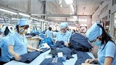 Vietnam’s export turnover estimated to reach $240 billion this year