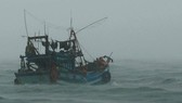 A fishing boat moving to shelter in Ca Mau province (Photo: SGGP)
