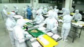 Processed food production at CJ Cau Tre Company. (Photo: SGGP)