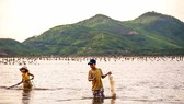 Catching fish with fishing net in Tam Giang lagoon (Photo: SGGP)