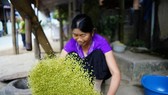 After being brayed, residents winnow grits from Com