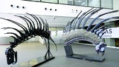 Phát hiện loài khủng long mới
