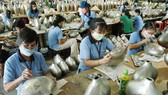 Sản xuất sử dụng nhiều lao động tại một doanh nghiệp FDI. Ảnh: THÀNH TRÍ