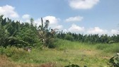Được chuyển mục đích sử dụng đất trong khu quy hoạch treo