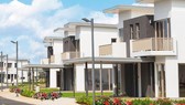 Đồng Nai: Nhà thầu phụ của Đại Phước Lotus nợ gần 3 tỷ đồng tiền lương của công nhân
