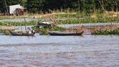 Lũ về miền Tây