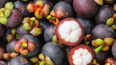 Xử phạt người bán 1,7kg măng cụt giá 1 triệu đồng cho khách nước ngoài