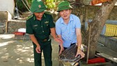 Con rùa biển vẫn sống khỏe mạnh trước lúc thả về môi trường tự nhiên