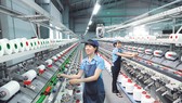 Ngành dệt sẽ nhập khẩu nhiều nguyên liệu vào dịp cuối năm. Ảnh: CAO THĂNG