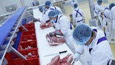 Dây chuyền sản xuất theo công nghệ thịt mát. Ảnh: TTXVN