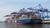 Khu cảng Cái Mép - Thị Vải đón siêu tàu container hàng tuần Khu cảng Cái Mép - Thị Vải đón siêu tàu container hàng tuần