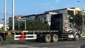 Một chiếc trong đoàn xe container vượt đèn đỏ. Ảnh cắt từ clip