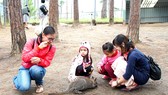 Cha mẹ có vai trò quan trọng trong việc giáo dục nhân cách cho con cái (ảnh: Mẹ hướng dẫn các con cách yêu thương động vật tại VooDoo Đà Lạt). Ảnh: HOÀNG HÙNG