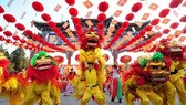 29 đoàn dự Giải Lân - Sư - Rồng Chợ Lớn năm 2019