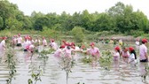 Chung tay trồng rừng phòng hộ Cần Giờ