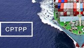 Hiệp định CPTPP: Sẽ xóa bỏ 86% dòng thuế nhập khẩu vào Nhật Bản