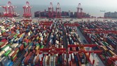 Kim ngạch xuất khẩu tăng trưởng chậm