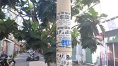 Cấp độ rủi ro thiên tai: cấp 3.Tín dụng đen dán tờ rơi quảng cáo tiếp cận người dân ở khắp nơi. Ảnh: ĐỨC TRUNG
