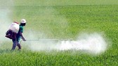EP điều tra chất Glyphosate trong thuốc diệt cỏ