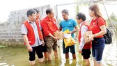 Lo mưa lũ, dịch bệnh hoành hành