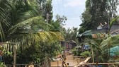 Nhiều ấp ở huyện An Phú và Châu Đốc, tỉnh An Giang đã bị ngập trong nước lũ. Ảnh: ĐINH THANH VÂN