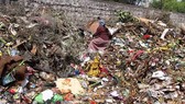 Nhật Bản, Ấn Độ hợp tác xây nhà máy điện từ rác thải