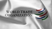 WTO giải quyết tranh chấp liên quan đến thuế nhập khẩu Mỹ