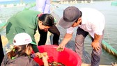 Quảng Ngãi: Giải quyết ô nhiễm môi trường bằng nuôi hải sâm ghép