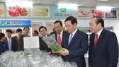 Yêu cầu kiểm tra, đánh giá hiệu quả của kinh tế hợp tác xã
