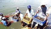 Xuất khẩu thủy sản: Hướng tới mục tiêu 10 tỷ USD Xuất khẩu thủy sản: Hướng tới mục tiêu 10 tỷ USD