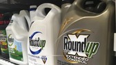 Monsanto bồi thường 80 triệu USD vì thuốc Roundup