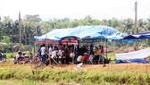 Người dân thôn Châu Trúc dựng rạp canh giữ 3 ô tô (trong đó 2 xe công vụ) để mong được đối thoại với lãnh đạo tỉnh Bình Định về dự án điện mặt trời, vào tháng 7-2018.