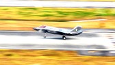 Chiến đấu cơ F-35B đâm phải chim, mất 2 triệu USD