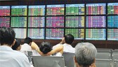 FTM issues 11million shares