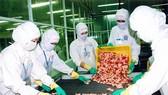BLF & LUT fined VND 145mln