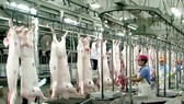 Dây chuyền chế biến thịt heo xuất khẩu