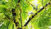 Tới rồi, tháng 3…