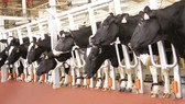 Tiếp sức sáng tạo cho ngành nông nghiệp - Bài 2: Xu hướng và triển vọng