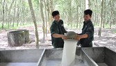 Cao su tìm đường vượt khó