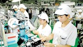 Kim ngạch khối doanh nghiệp trong nước đứng cao nhất