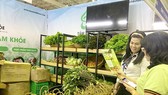 Hỗ trợ doanh nghiệp nhỏ và vừa tham gia chuỗi giá trị cung ứng toàn cầu Hỗ trợ doanh nghiệp nhỏ và vừa tham gia chuỗi giá trị cung ứng toàn cầu