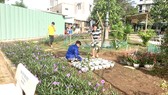 Tôi có thấy: Cải tạo bãi rác thành công viên hoa