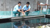 Nâng cao hiệu quả sử dụng đất